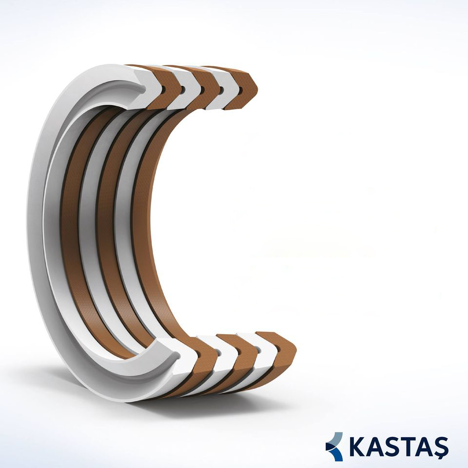 kastas homo_slo
